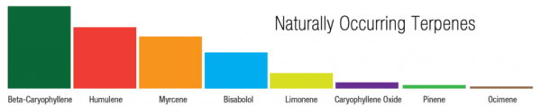 5000mg - True Full Spectrum CBD - Image 6